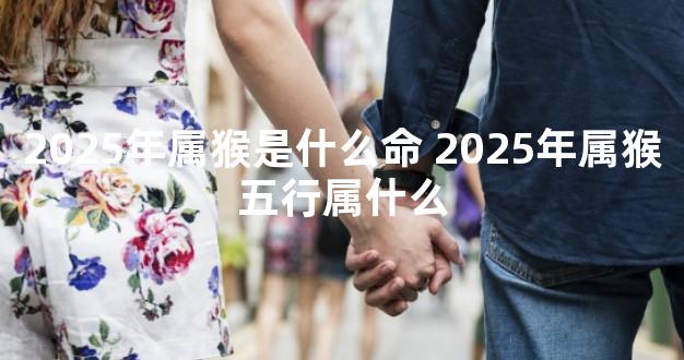 2025年属猴是什么命 2025年属猴五行属什么